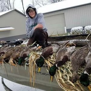 Meet your Posher, Mason